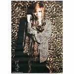 acid black cherry(abc) ポスター ピストル 購入特典 2011