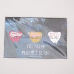 THE ALFEE(ジ・アルフィー) Legendary Summer 2009 YOKOHAMA PERFECT BURN ピックセット 3点セット