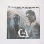 CHAGE&ASKA(チャゲアス) CONCERT TOUR '88 パンフレット 1988