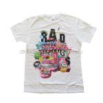 RADWIMPS(ラッド) その他 Tシャツ　2010 フェス限定