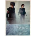 surface(サーフィス) ポスター その先にあるもの 2001