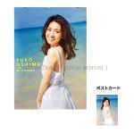 AKB48(エーケービー) ポスター 大島優子 カレンダー 2017 ポストカード付属 14枚組