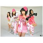 AKB48(エーケービー) ポスター NOT YET ヒリヒリの花 クリアポスター Type-D