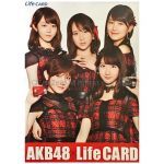 AKB48(エーケービー) ポスター lifecard ライフカード