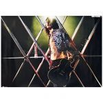 MIYAVI(雅) ポスター MIYAVI 2013 タワーレコード