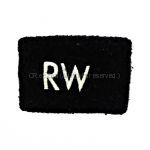 RADWIMPS(ラッド) 野外LIVE 2013 青とメメメ リストバンド RW