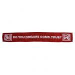 DREAMS COME TRUE(ドリカム) 20th Anniversary TOUR 2009 ドリしてます? マフラータオル