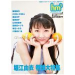 堀江由衣(ほっちゃん) ポスター hm3 雑誌 2000年 14号