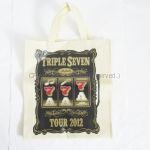 AAA(トリプルエー) AAA TOUR 2012 -777- TRIPLE SEVEN テイクアウトバッグ