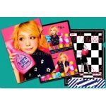 The Nishino Family Party 2013　クリアファイル(3枚セット)