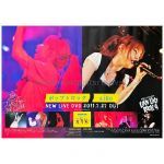 aiko(アイコ) ポスター ポップとロック DVD 2011 告知