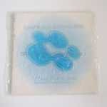 access(アクセス) 浅倉大介 パンフレット 2002 21st Fortune ?beautiful symphony?