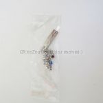 access(アクセス) 浅倉大介 ストラップ　tour 2004