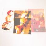 access(アクセス) 浅倉大介 iceman アイスマン会報セット0-15 16冊