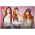 少女時代(Girls' Generation) ポスター 2ndミニアルバム Holler テヨン ティファニー ソヒョン 大型