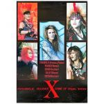 X JAPAN(エックス) ポスター PSYCHEDELIC VIOLENCE CRIME OF VISUAL SHOCK B A1サイズ