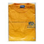 TUBE(チューブ) LIVE AROUND SPECIAL 2007 夏燦舞 Tシャツ オレンジ