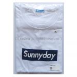 TUBE(チューブ) LIVE AROUND SPECIAL 2017 sunny day Tシャツ ホワイト