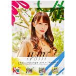 日向坂46(ひなたざか) ポスター 加藤史帆 ドレミソラシド 全国握手会 ランダム交換品