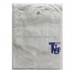 TUBE(チューブ) LIVE AROUND '96 ONLY GOOD TIMES Tシャツ グレー 胸青ロゴ