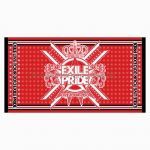 EXILE(エグザイル) EXILE LIVE TOUR 2013 “EXILE PRIDE” 追加公演 EXILE PRIDE ビーチタオル