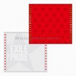 EXILE(エグザイル) EXILE LIVE TOUR 2013 “EXILE PRIDE” 追加公演 スターハンドタオル2枚セット