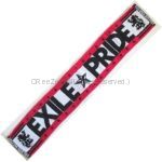 EXILE(エグザイル) EXILE LIVE TOUR 2013 “EXILE PRIDE” EXILE PRIDE マフラータオル