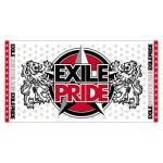 EXILE(エグザイル) EXILE LIVE TOUR 2013 “EXILE PRIDE” EXILE PRIDE ビーチタオル