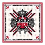 EXILE(エグザイル) EXILE LIVE TOUR 2013 “EXILE PRIDE” EXILE PRIDE バンダナ