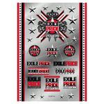 EXILE(エグザイル) EXILE LIVE TOUR 2013 “EXILE PRIDE” EXILE PRIDE ステッカー