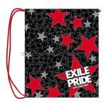 EXILE(エグザイル) EXILE LIVE TOUR 2013 “EXILE PRIDE” EXILE PRIDE エコバッグ（中）