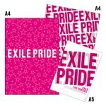 EXILE(エグザイル) EXILE LIVE TOUR 2013 “EXILE PRIDE” グラフィック　クリアファイル