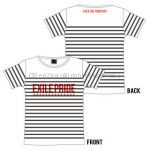 EXILE(エグザイル) EXILE LIVE TOUR 2013 “EXILE PRIDE” ボーダーTシャツ　チャコールグレー