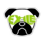 EXILE(エグザイル) EXILE LIVE TOUR 2013 “EXILE PRIDE” 【EXILE TRIBE STATION限定】アニマル　ビッグステッカー 1