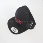 ポルノグラフィティ(porno) 15th Anniversary グッズ Franken PORNO Snap Back キャップ