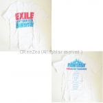 EXILE(エグザイル) LIVE TOUR 2010 FANTASY Tシャツ