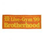 B'z(ビーズ) LIVE GYM '99 Brotherhood ステージタオル