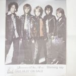 Janne Da Arc(acid black cherry) ポスター 告知ポスター(shining ray)