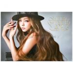 安室奈美恵(アムロ) ポスター LIVE STYLE 2014 特典