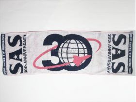 サザンオールスターズ(SAS) 真夏の大感謝祭(30周年) スポーツタオル