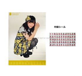 AKB48(エーケービー) ポスター 島崎遥香 2012 カレンダー　シール付属