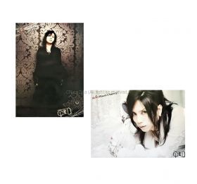 acid black cherry(abc) 2009 TOUR Q.E.D. ポスター　2枚組