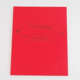 ストレイテナー(STRAIGHTENER) 21st CENTURY ROCK BAND パンフレット