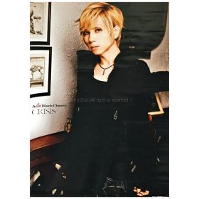 acid black cherry(abc) ポスター CRISIS 購入特典 2011