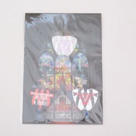 THE ALFEE(ジ・アルフィー) 35th Anniversary 2009 My Truth ピックセット 3点セット