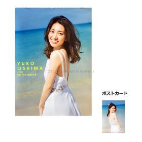 AKB48(エーケービー) ポスター 大島優子 カレンダー 2017 ポストカード付属 14枚組