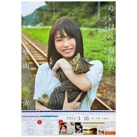 AKB48(エーケービー) ポスター 「ゆいはんの夏休み」 京都いろどり日記 横山由依 2015