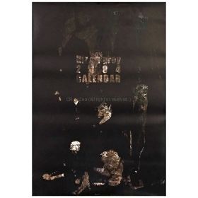 Dir en grey(ディル) ポスター 2004 カレンダー 壁掛け 7枚組