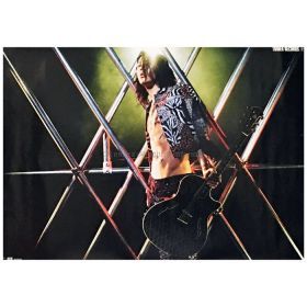 MIYAVI(雅) ポスター MIYAVI 2013 タワーレコード