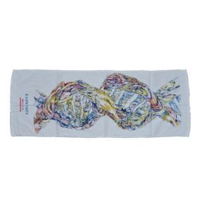 RADWIMPS(ラッド) LIVE 2013 春ウララレミドソ フェイスタオル 横浜アリーナ